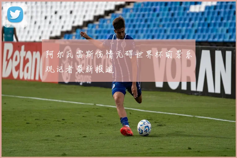 阿尔瓦雷斯伤情无碍世界杯前景乐观记者最新报道